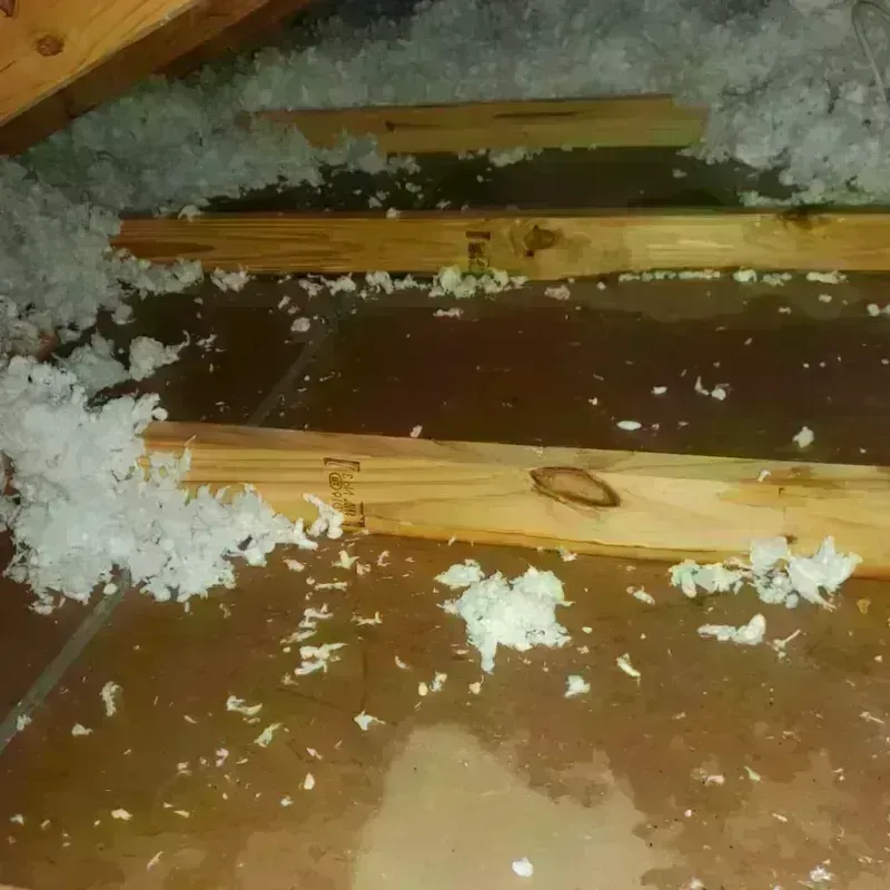 Attic Water Damage in Paris, TN